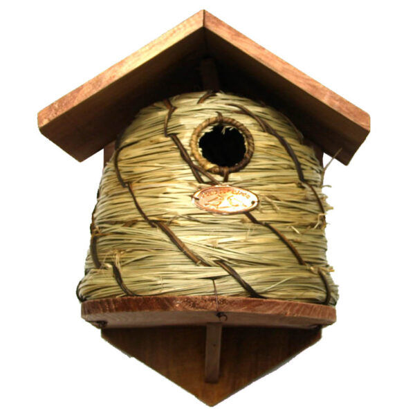 Bijenhuis voor Koolmees