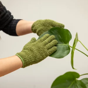 Planten Afstof Handschoen